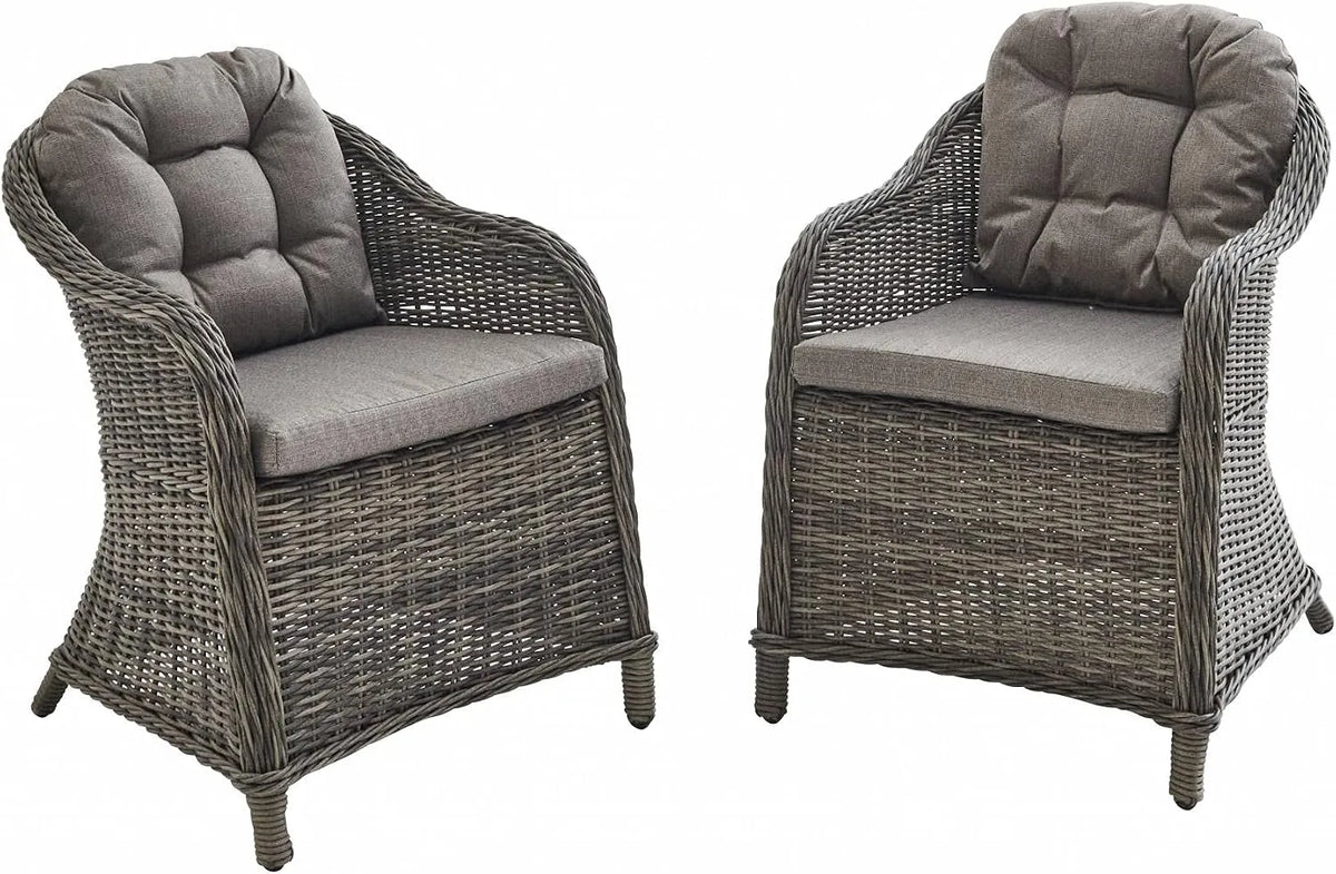Chaise – avec coussins, en aluminium, Lot de 2, gris